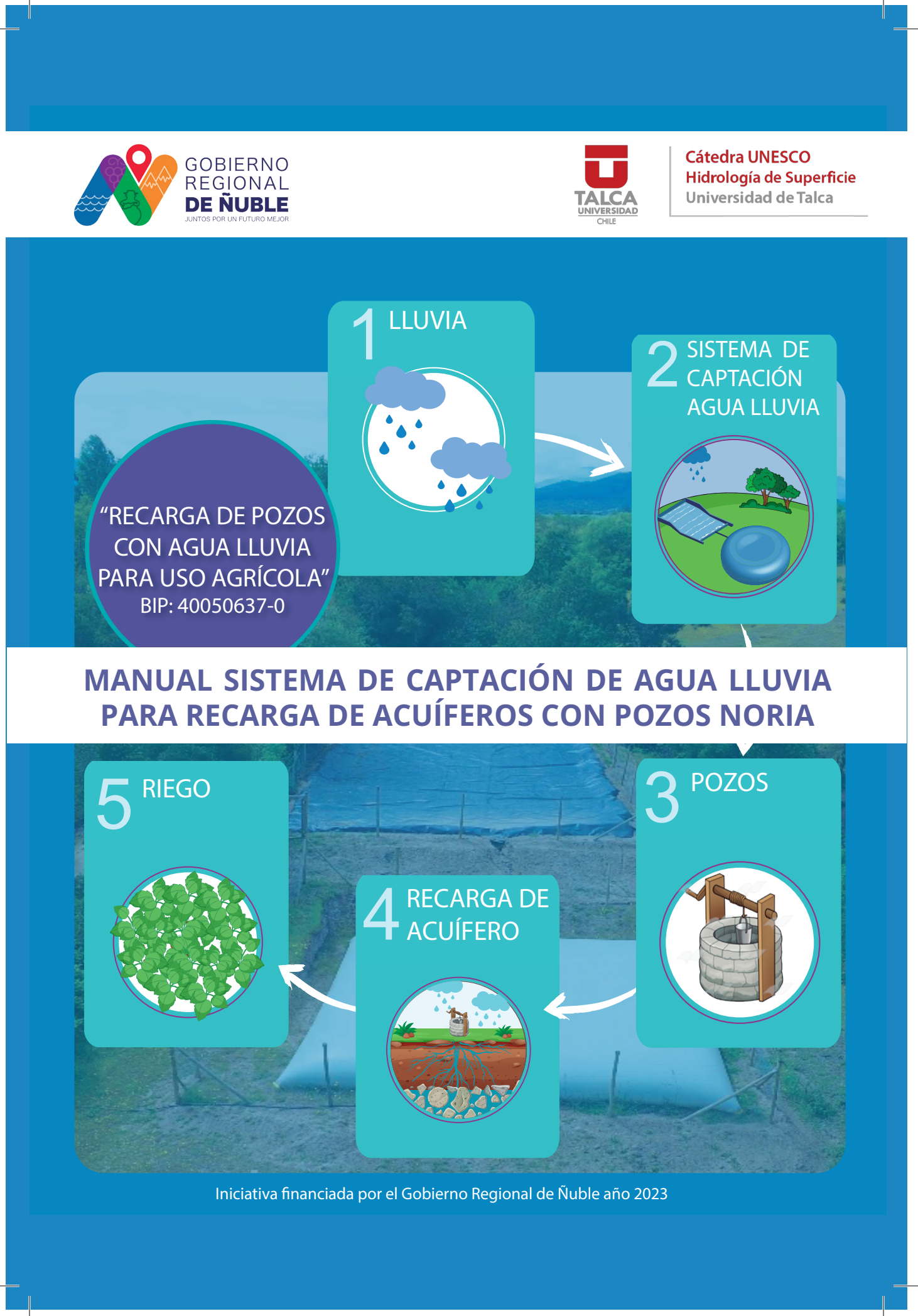 Portada SCALL Maqui